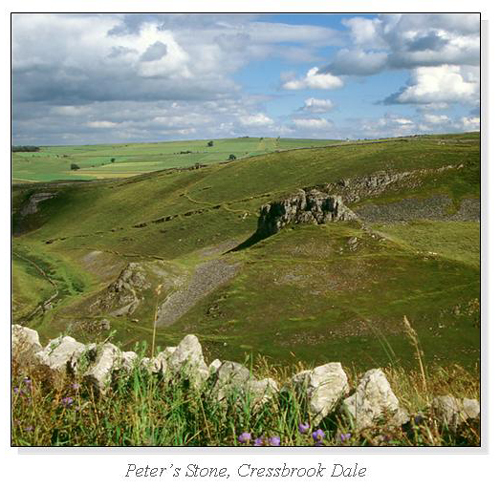 Peter's Stone, Cressbrook Dale Square Cards