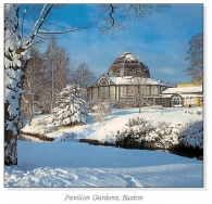Pavilion Gardens, Buxton Square Cards