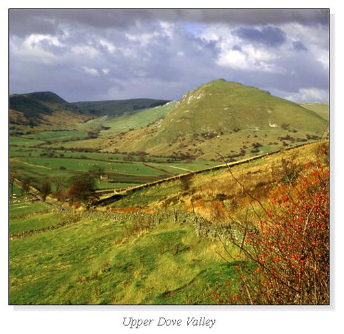 Upper Dove Valley Square Cards