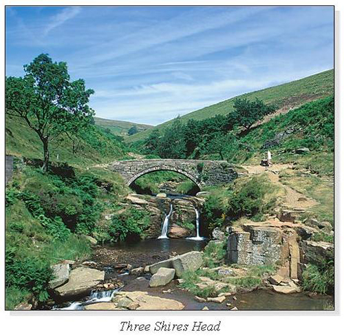 Three Shires Head Square Cards