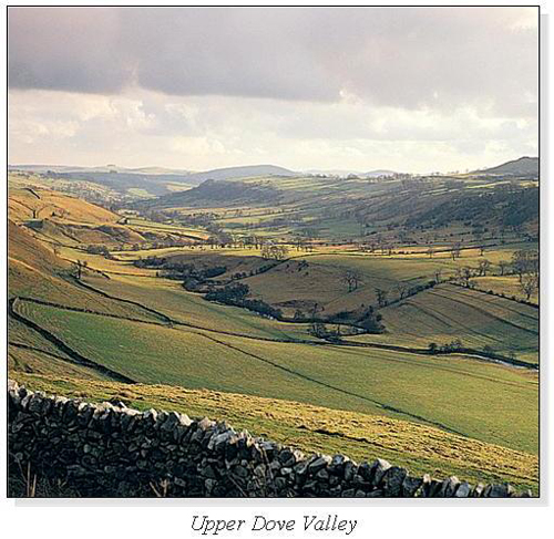 Upper Dove Valley Square Cards
