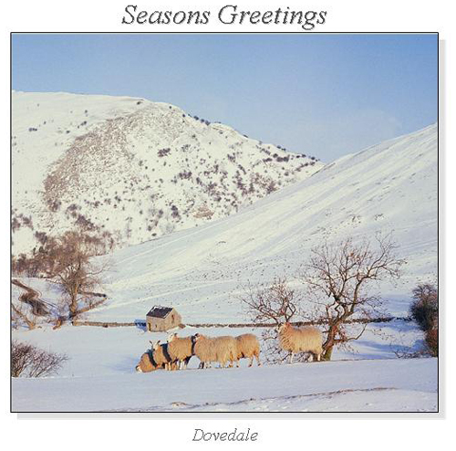 Dovedale Christmas Square Cards