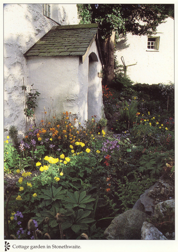 Cottage Garden in Stonethwaite postcards