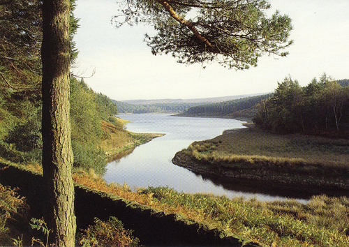 Langsett Reservoir Postcards