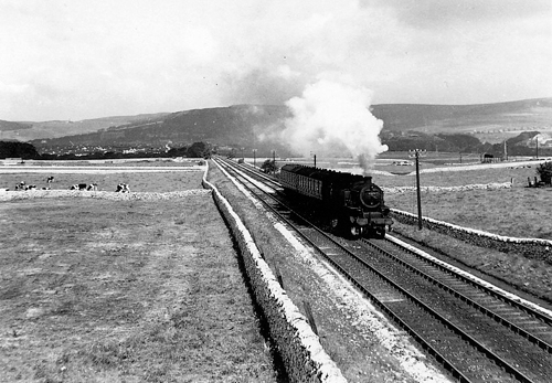 Train at Staden, Buxton (July 1953) postcards