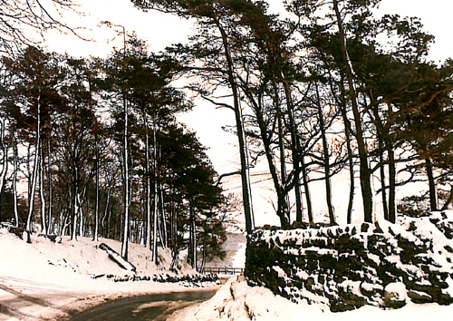 Snow Scene near Keld Postcards