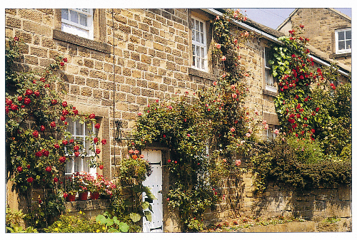 Eyam VCL Greetings Cards