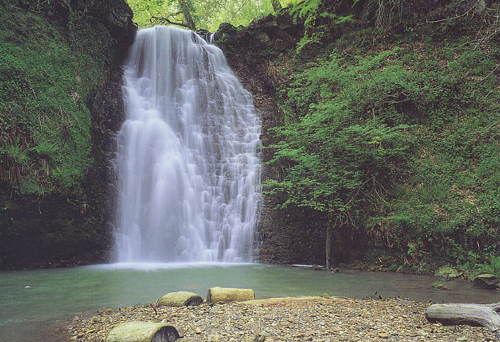 Falling Foss VP Greetings Cards