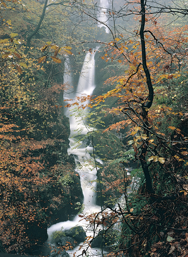 Stock Ghyll Force VP Greetings Cards