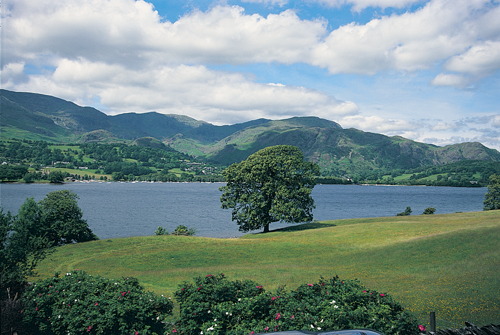 Coniston VP Greetings Cards