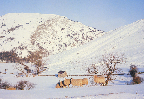 Dovedale BC Greetings Cards