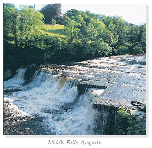 Middle Falls, Aysgarth Square Cards