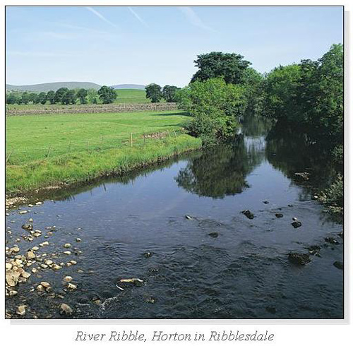 River Ribble, Horton in Ribblesdale Square Cards