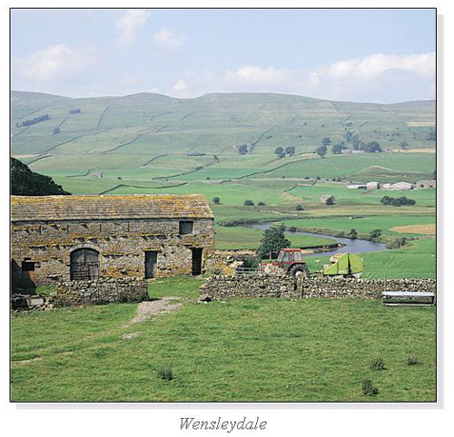 Wensleydale Square Cards