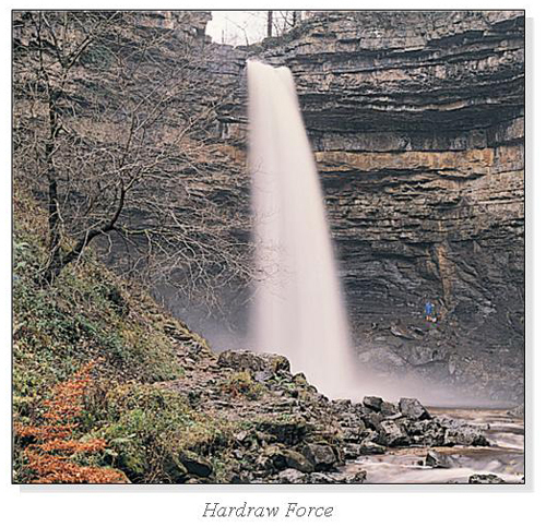 Hardraw Force Square Cards