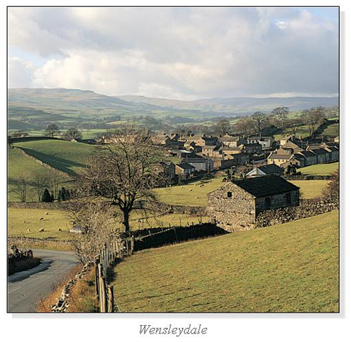 Wensleydale Square Cards