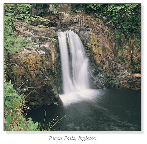 Pecca Falls, Ingleton Square Cards