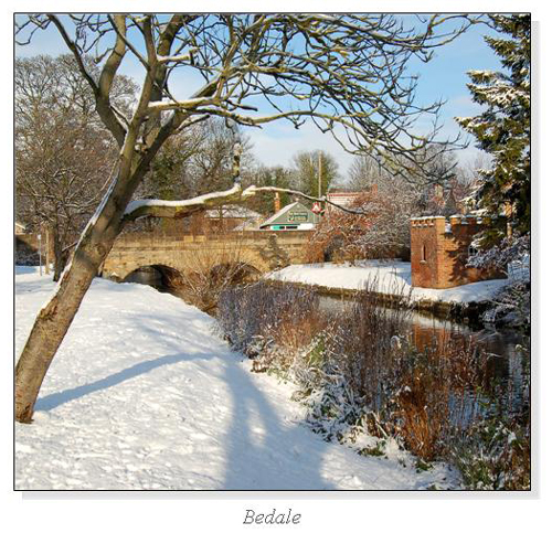 Bedale Square Cards