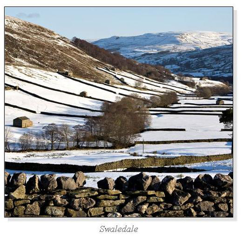 Swaledale Square Cards