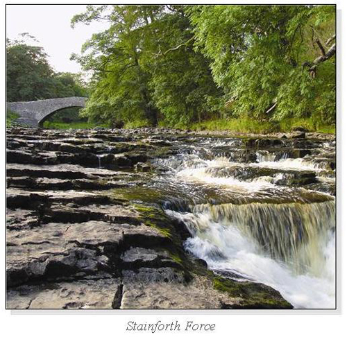 Stainforth Force Square Cards