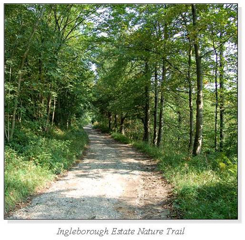 Ingleborough Estate Nature Trail Square Cards