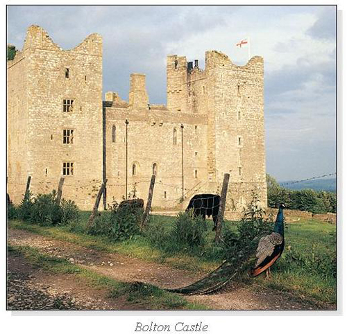 Bolton Castle Square Cards