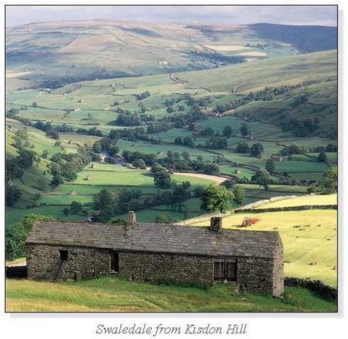 Swaledale from Kisdon Hill Square Cards