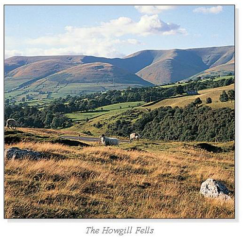 The Howgill Fells Square Cards