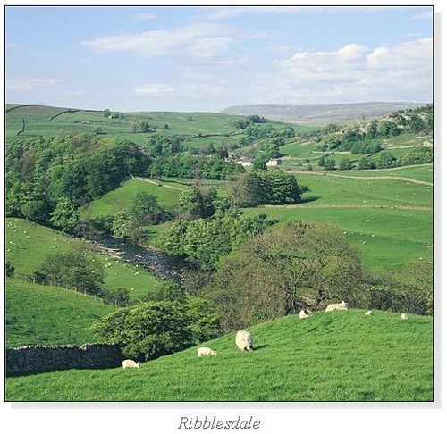 Ribblesdale Square Cards