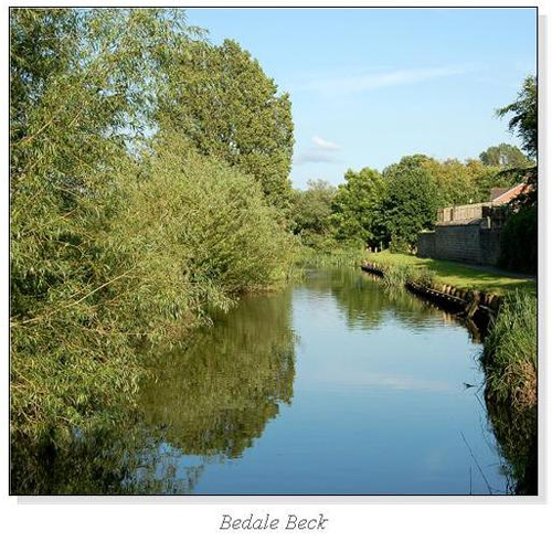 Bedale Beck Square Cards