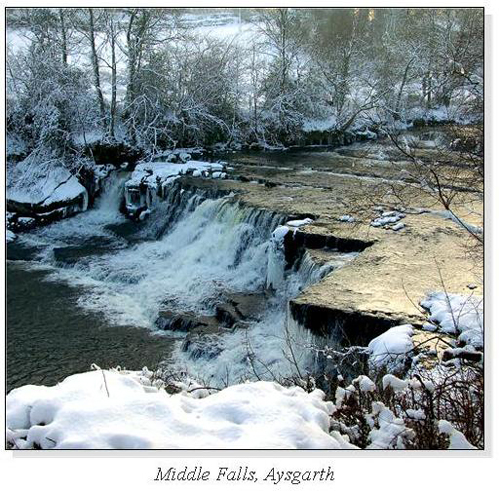 Middle Falls, Aysgarth Square Cards