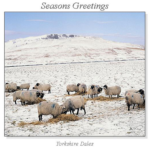 Yorkshire Dales Christmas Square Cards