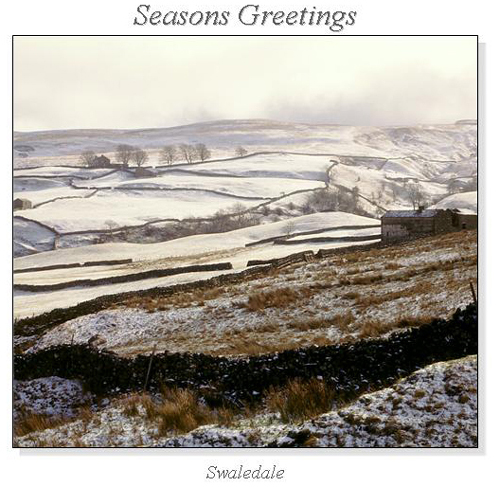 Swaledale Christmas Square Cards