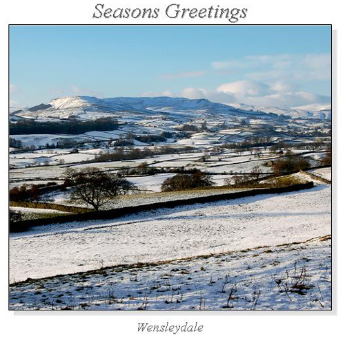 Wensleydale Christmas Square Cards
