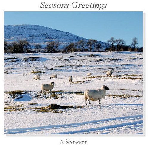 Ribblesdale Christmas Square Cards