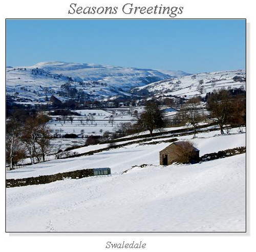 Swaledale Christmas Square Cards