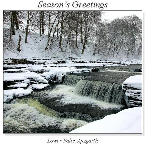 Lower Falls, Aysgarth Christmas Square Cards