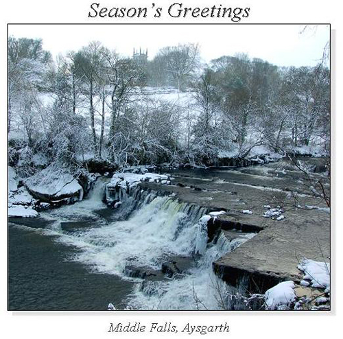 Middle Falls, Aysgarth Christmas Square Cards