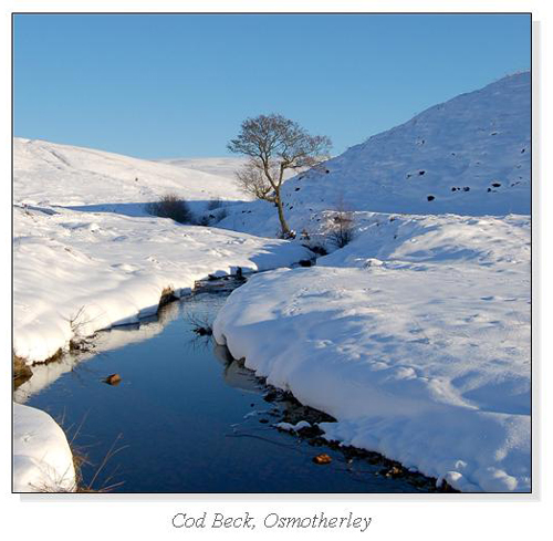 Cod Beck, Osmotherley Square Cards