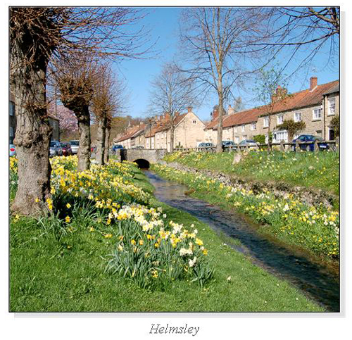 Helmsley Square Cards