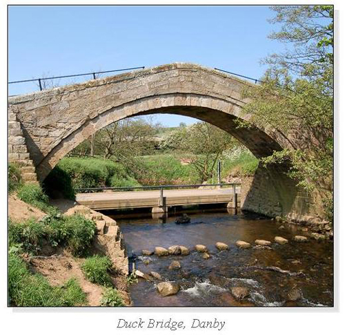 Duck Bridge, Danby Square Cards