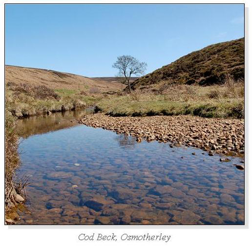 Cod Beck, Osmotherley Square Cards