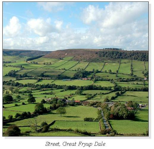 Street, Great Fryup Dale Square Cards