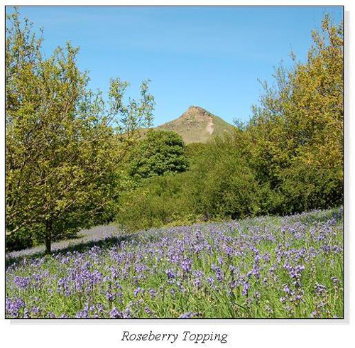 Roseberry Topping Square Cards