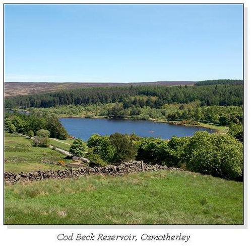 Cod Beck Reservoir, Osmotherley Square Cards