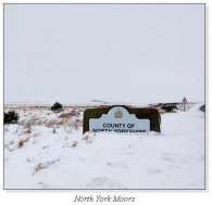 North York Moors Square Cards