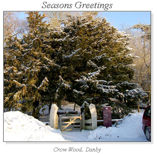 Crow Wood, Danby Christmas Square Cards