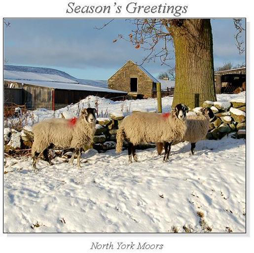 North York Moors Christmas Square Cards