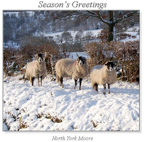 North York Moors Christmas Square Cards